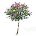 Vibrant Arbor With Purple Flowers Green Leaves And Brown Trunk