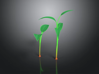 Green Seedlings with Stems and Leaves on Dark Background and Visible Reflections 3d model