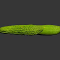 Fresh Green Bitter Melons on Black Background with Vibrant Color and Smooth Texture