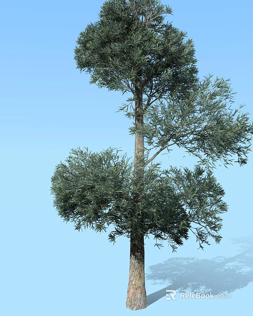 Tall Arbor With Lush Green Foliage And Clear Blue Sky Background 3d model 