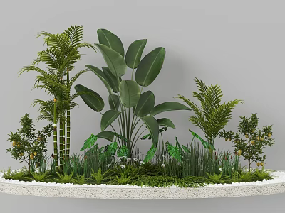 Garden Landscape Circular Design With White Stone Border Tropical Plants Large Leaves Shrubs White Pebbles 3d model