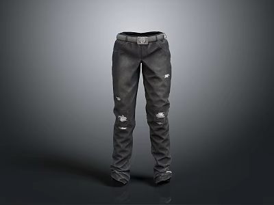 Damaged Jeans Jeans Pants Clothing Casual Pants Denim Casual Pants Men's Pants Women's Pants Men's Pants Women's Pants Men's Pants 3d model