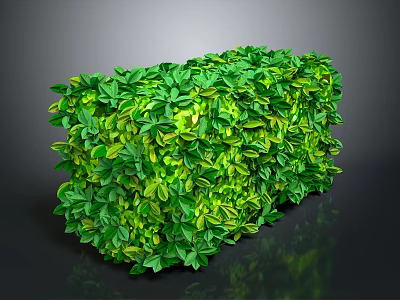 Lush Green Cube Shaped Plant Hedge With Dense Foliage And Trimmed Leaves 3d model