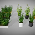 Green Indoor Plants with Various Colored and Different Shaped Planters for Home Decor