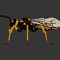 Modern Bee Ma Feng Wasp 3d model