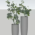 Modern Gray Diamond Patterned Vases with Green Leafy Branches and Plants
