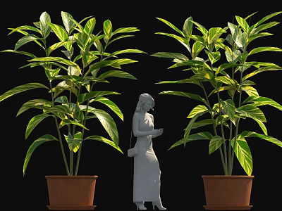 Large Potted Plants with Green Leaves in Brown Pots Beside Standing Female Figure 3d model