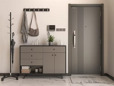 Modern Security Door in Entryway with Cabinet Drawers Potted Plant and Coat Rack 3d model