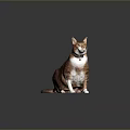 Ginger and White Domestic Cat Wearing Collar Sitting Upright on Dark Background 3d model