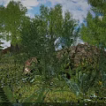 Lush Flowers and Plants in Natural Landscape With Trees Rocks and Green Grass
