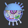 Vibrant 3D Rendered Cell Organelles With Hair Like Fibrous Structures And Internal Details