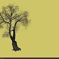 Two Ornamental Trees With White And Yellow Blossoms And Dark Twisted Trunks