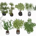 Assorted Bonsai Trees And Potted Green Plants In Modern Planters For Interior Decor 3d model