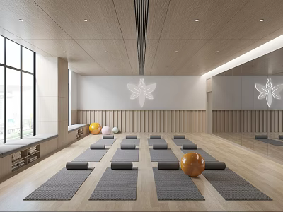 Yoga Studio Space With Mats Exercise Balls Mirror And Natural Light 3d model