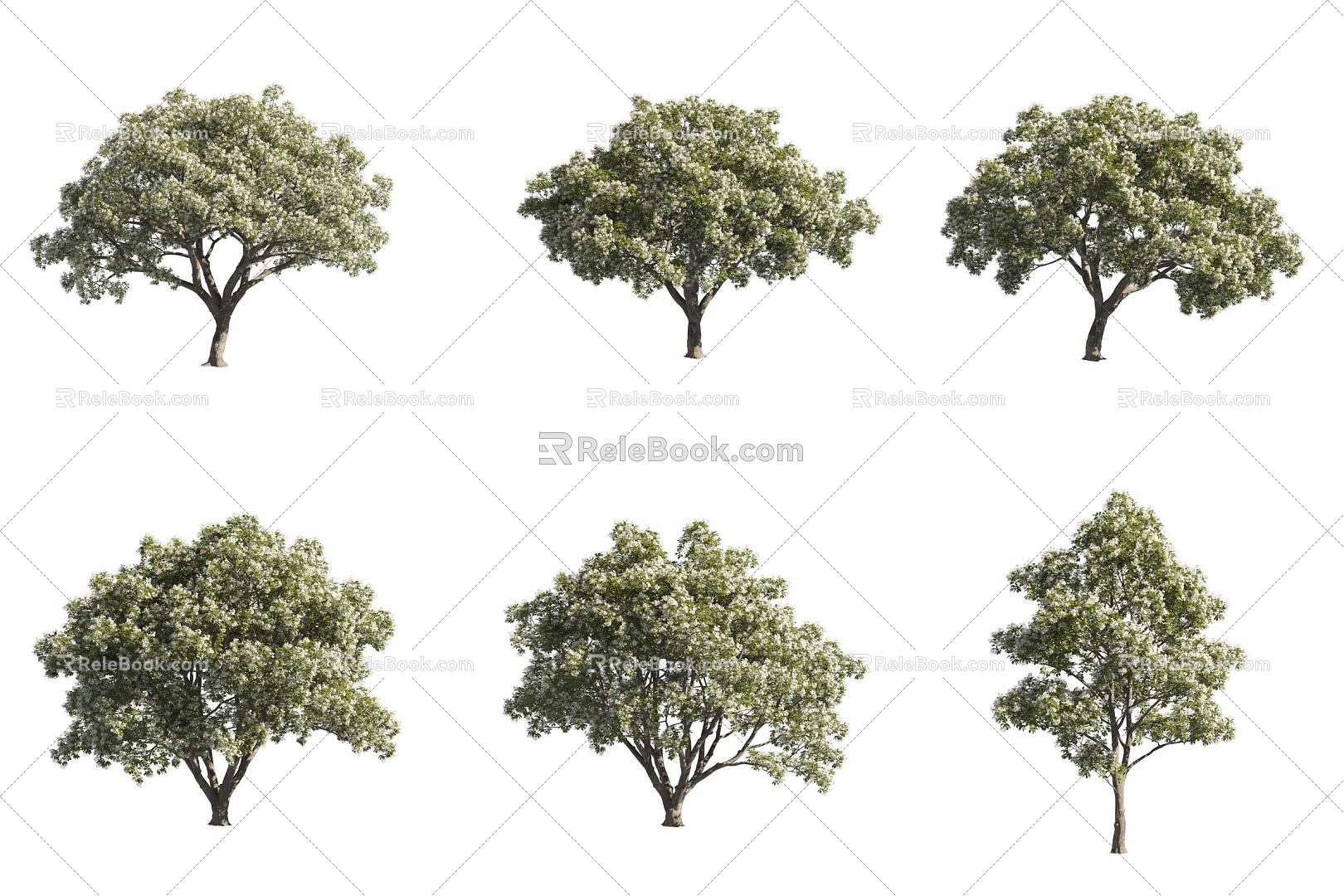 Tasser Tree Flow Sparse Tree Tea Tree Flower Tree 3d model