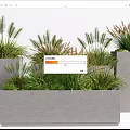 Modern Rectangular Gray Planters With Lush Herbaceous Potted Plants 3d model