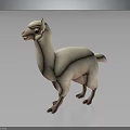 Cute Light Colored Llama 3D Model Standing On Dark Background With Reflective Surface