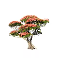Modeling Rhododendron Old Pile Modeling Tree Shrub 3d model