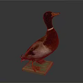 Wild Duck Standing With Green Head And Brown Body On Green Base