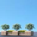 Lush Green Bushes In Wooden Planters With Connecting Wooden Planks And Yellow Flowers
