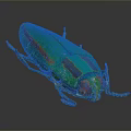 Vibrant Metallic Green And Red Beetle With Shiny Carapace And Reflection