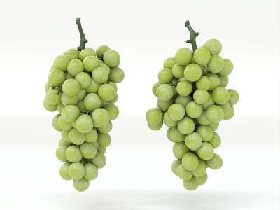 Healthy Fresh Ripe Green Grapes Two Bunches on White Background 3d model