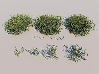 Grass lawn grass 3d model