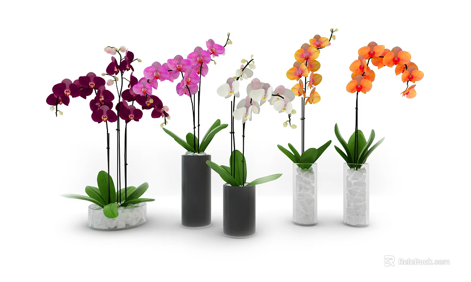 Colorful Orchid Flowers In Various Vases With Marble And Black Cylindrical Designs 3d model 