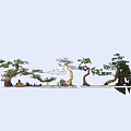 Beautiful Arbor Display With Shaped Pine Trees Rocks And Miniature Statues 3d model