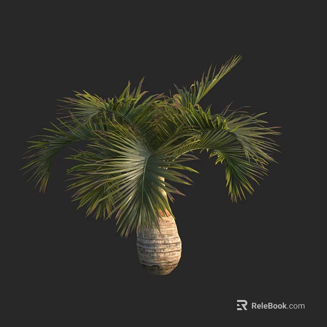 Lush Green Palm Tree With Woven Texture Trunk Base And Fronds 3d model 