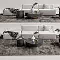 Modern sofa coffee table combination 3d model