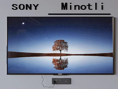 Sony TV Showing Tree with Starry Sky and Water Reflection on Screen 3d model