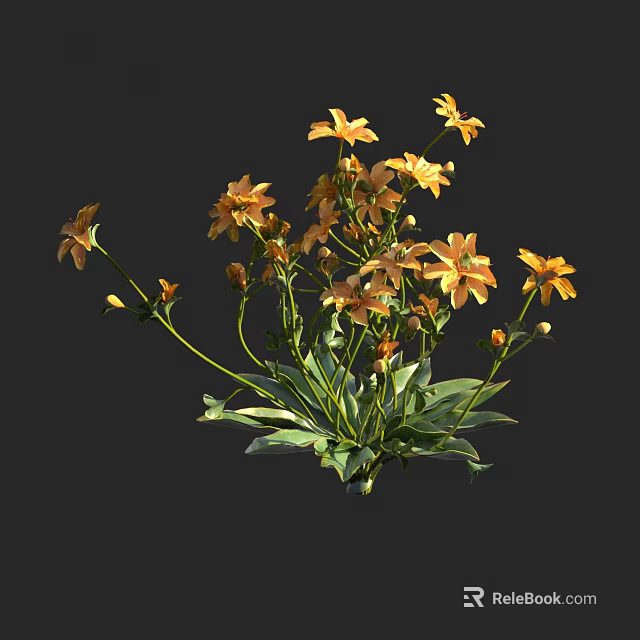 Blooming Yellow Flowers with Green Leaves and Stems on Dark Background 3d model 