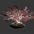 Vibrant Red Plant with White Branches and Green Base on Dark Background