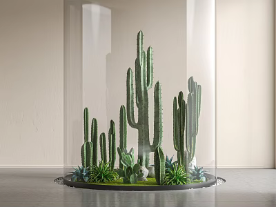 Potted Cacti and Succulents Under Glass Cloche on Circular Base with Light Wall 3d model