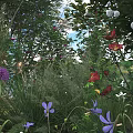 Vibrant Garden Shrubs with Purple Red and White Flowers and Lush Greenery