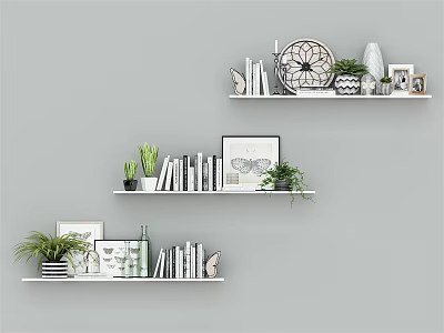 Stylish Decorative Ornament Set With Books Plants Frames Clock And Vases On Wall Shelves 3d model