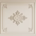 Intricate Ceiling Carving Design With Central Floral Pattern And Border Decor