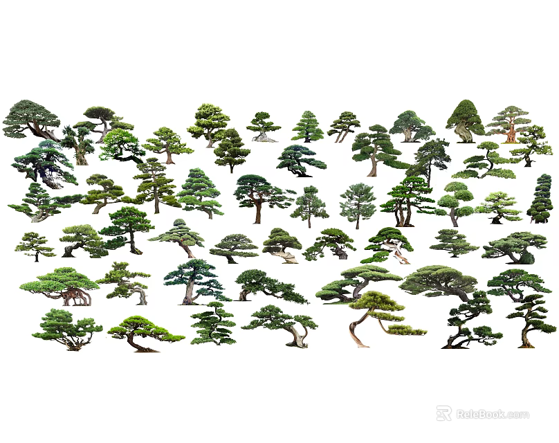 Various Arbor Varieties In Garden Landscape With Different Shapes And Lush Foliage 3d model 
