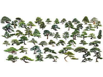 Various Arbor Varieties In Garden Landscape With Different Shapes And Lush Foliage 3d model
