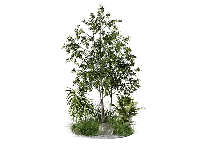Tall Tree With Lush Green Leaves Surrounding Grass Small Plants And Stones In Natural Landscape 3d model