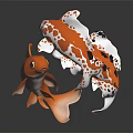 Vibrant Koi Fish With Orange White Black Spots Swimming Against Dark Background With Glossy Scales