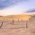 Stunning Arid Desert Landscape With Rolling Sand Dunes And Scattered Bare Dead Trees At Sunset