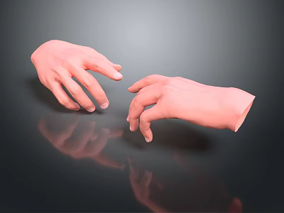 Realistic 3D Modeled Hands with Curved Fingers Interacting Gently on Dark Background and Reflection 3d model