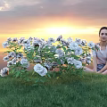 Scenic Sunset With Cloudy Sky Woman Sitting By White Flowers On Green Grass Field