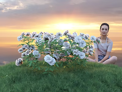Scenic Sunset With Cloudy Sky Woman Sitting By White Flowers On Green Grass Field 3d model