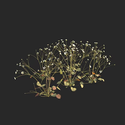 Modern Dianmei Blossom 3d model Modern Dianmei Blossom 3d model