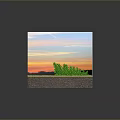 Green Tree Growing in Grass and Soil Layers Against Sunset Sky Background