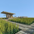 Garden Landscape With Wooden Pavilion Yellow Flower Field And Wooden Pathway