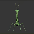 Modern Mantis Cartoon Mantis Animation Mantis Knife 3d model